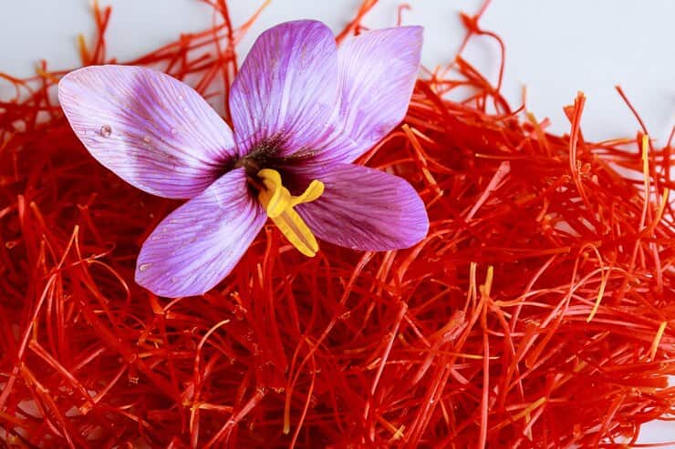 تصویر 1 از قیمت خرید زعفران شبه نگین + فروش ویژه
